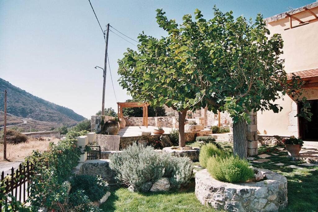 Traditional Villa With Pool In Sfakia Imbros Ngoại thất bức ảnh